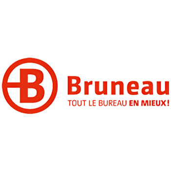 Bruneau logo